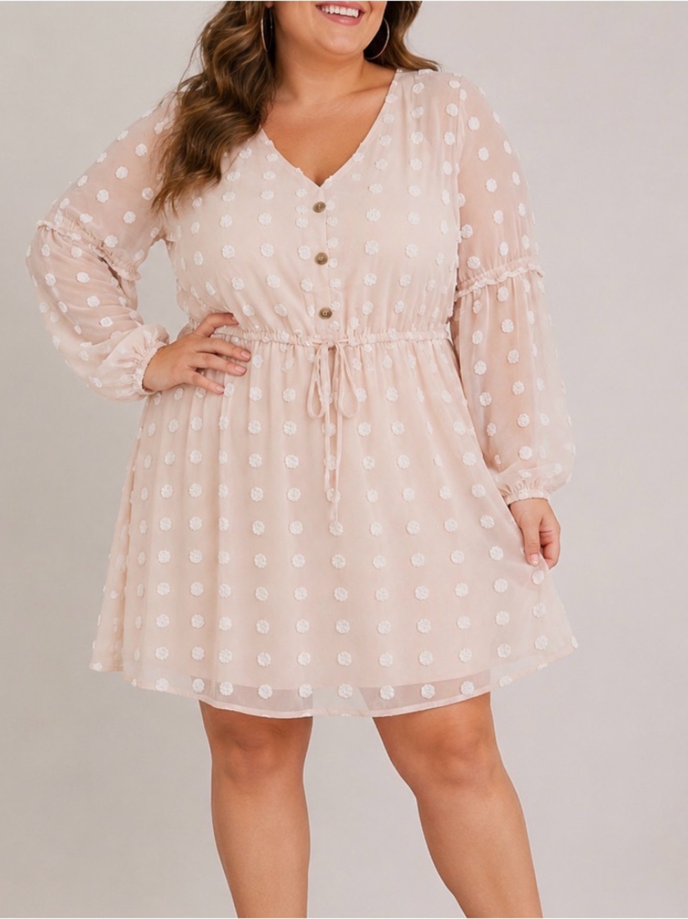 Robert Louis Swiss Dot Chiffon Long Sleeve Dress cream color textured SZ XL